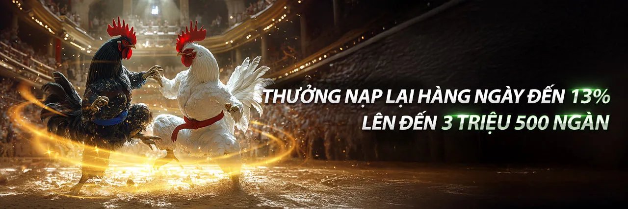 Sân vận động với khán giả cổ vũ, biểu tượng của cá cược thể thao 77kinh88
